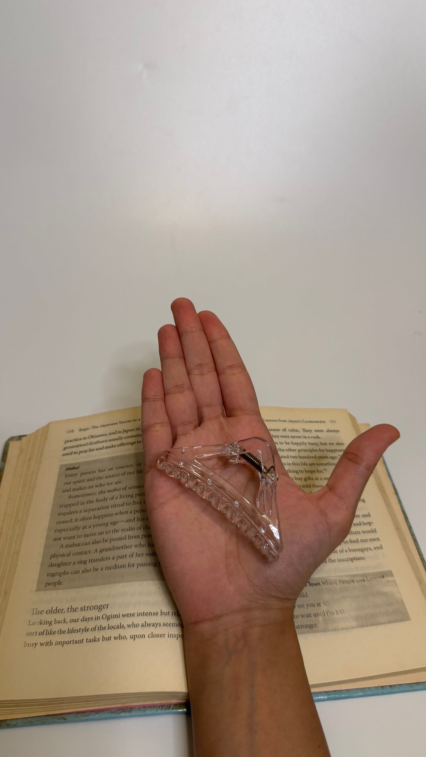 Transparent Hair Claw (pack of 2)