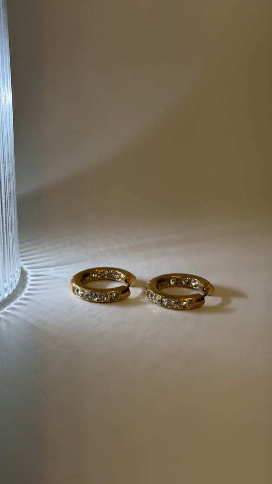 Gold Studded Earrings G