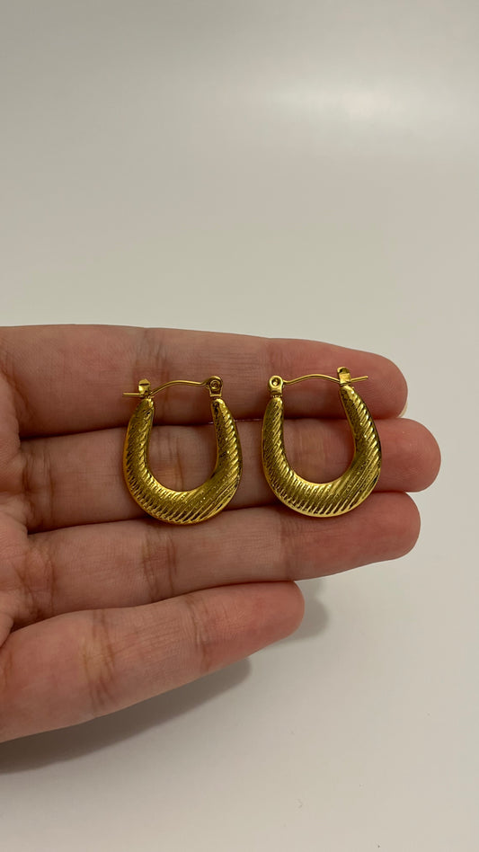 Hoops Earrings D