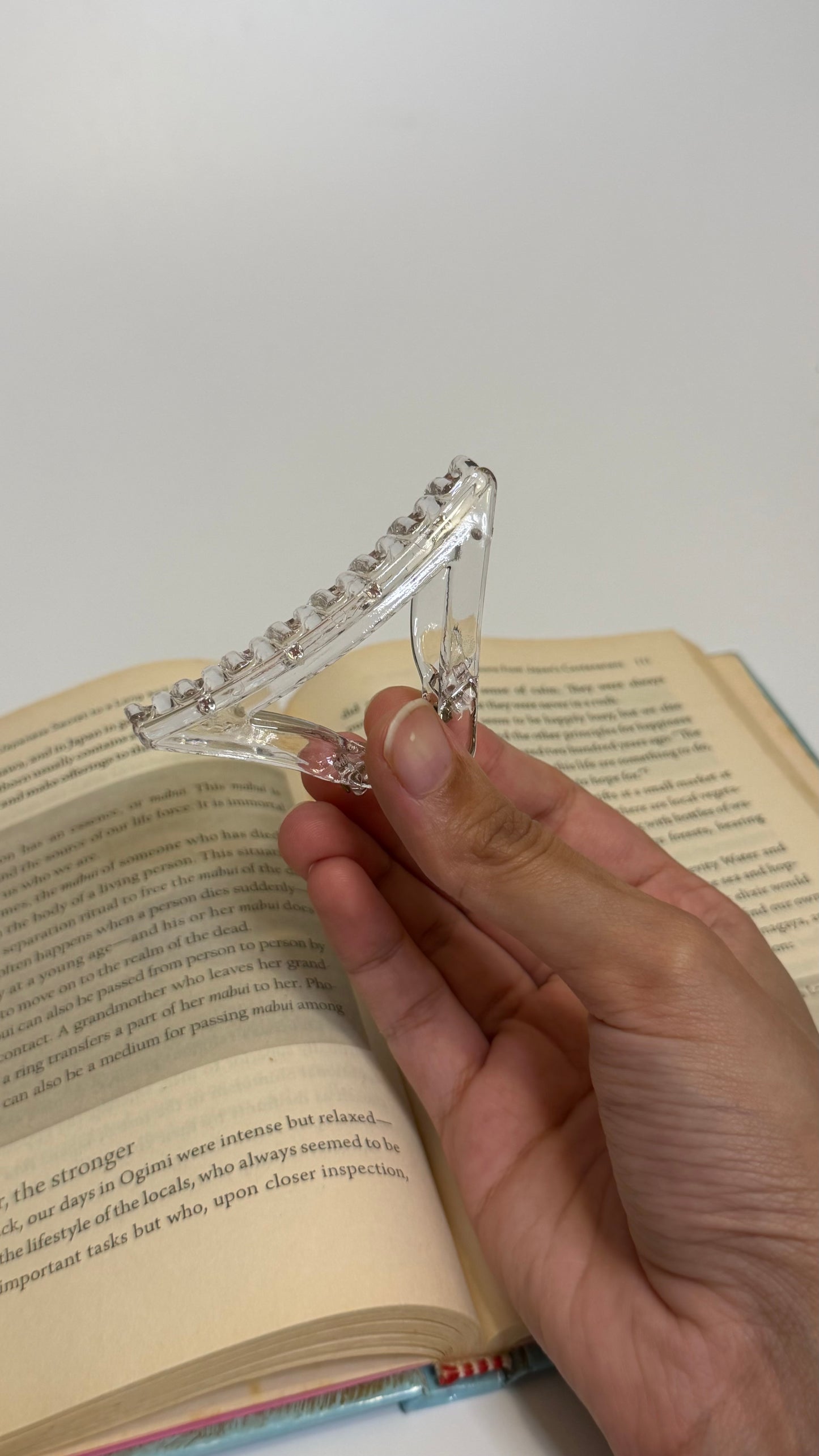Transparent Hair Claw (pack of 2)