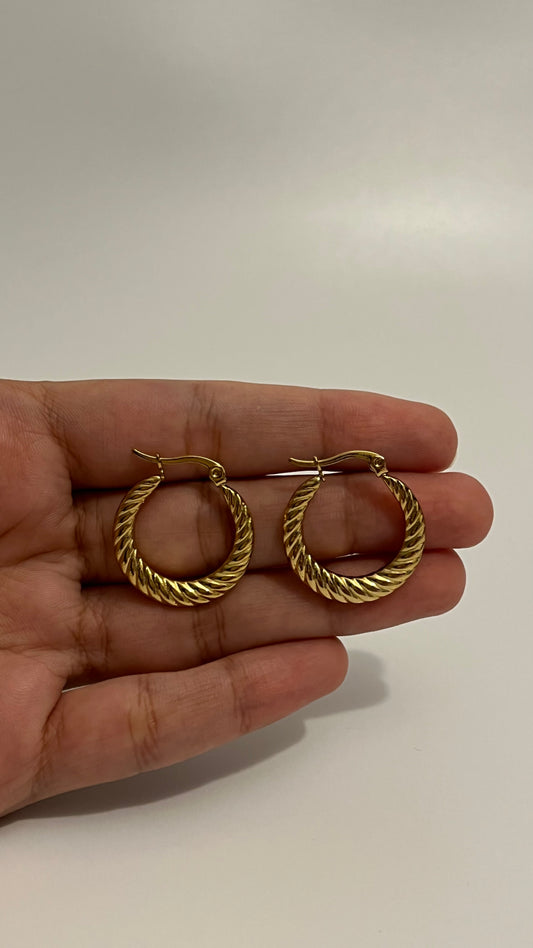 Hoops Earrings B
