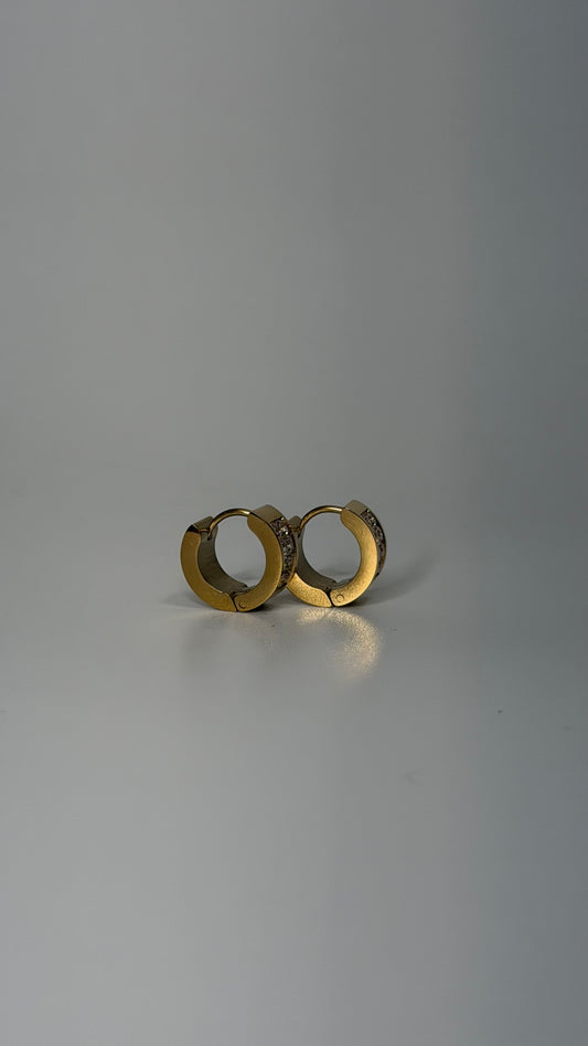 Gold Studded Earrings I